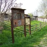 Alleenwiesen By Interhome