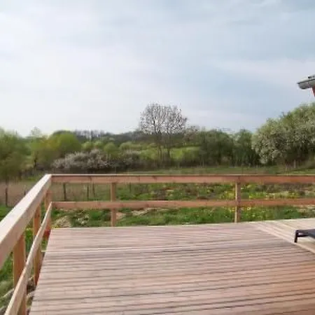 Alleenwiesen By Interhome