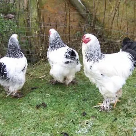 Holiday home Alleenwiesen By Interhome *