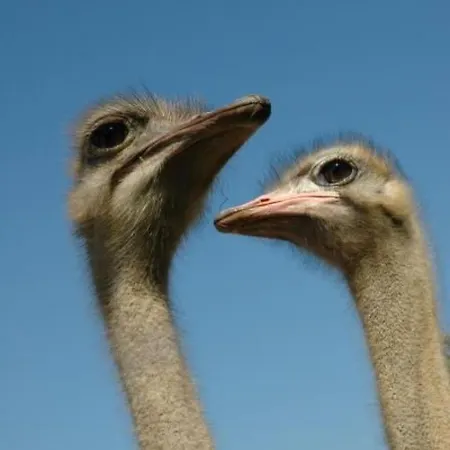 Alleenwiesen By Interhome Holiday home *