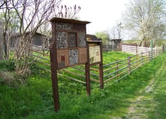 Alleenwiesen By Interhome